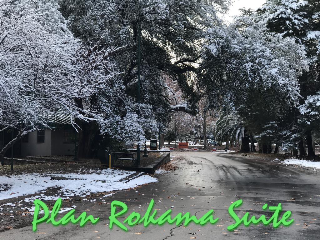 Plan Rokama Suite 586 Mendoza Eksteriør bilde